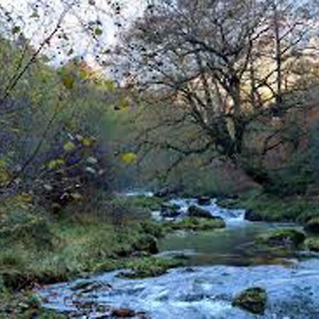 Apartamento Jardines Del Sella Apartman Onís Kültér fotó